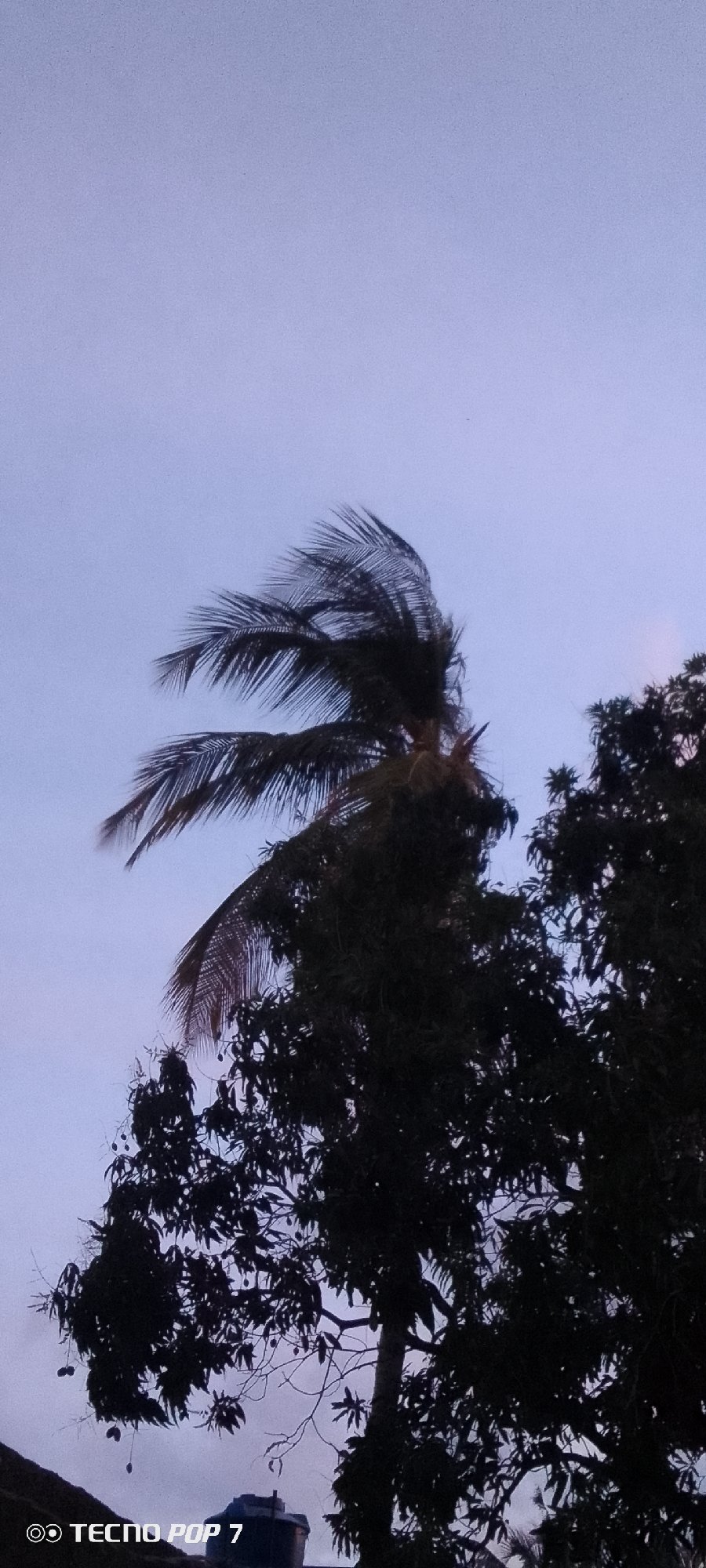 Sunset documented across Altagracia, Venezuela in coordinated witness captures
