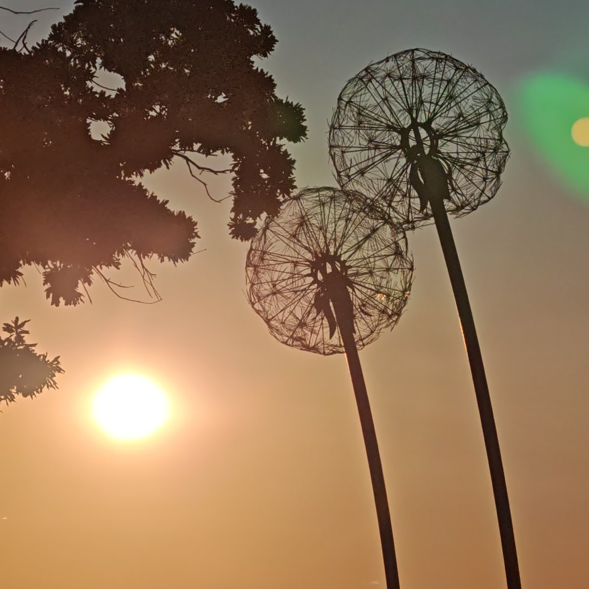 Sunset gathering documented along coastal promenade with sculptures, bicycle