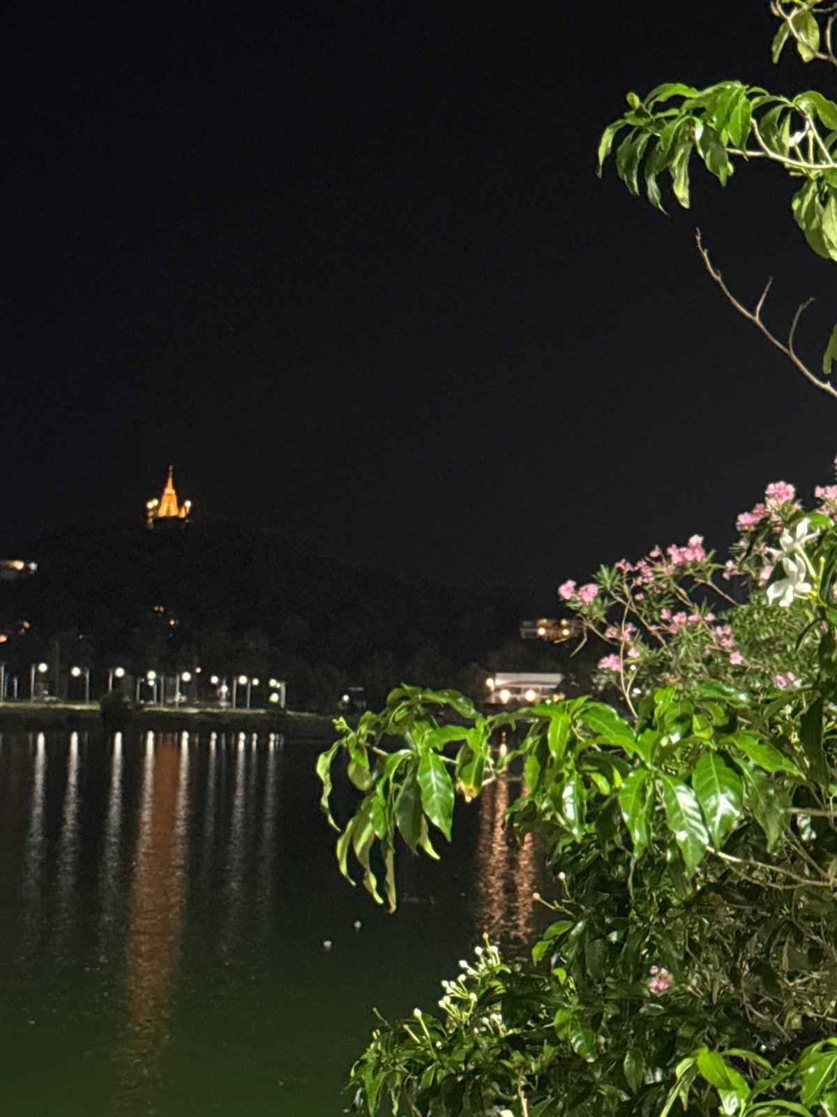 Ko Samui waterfront promenade and night market after dark
