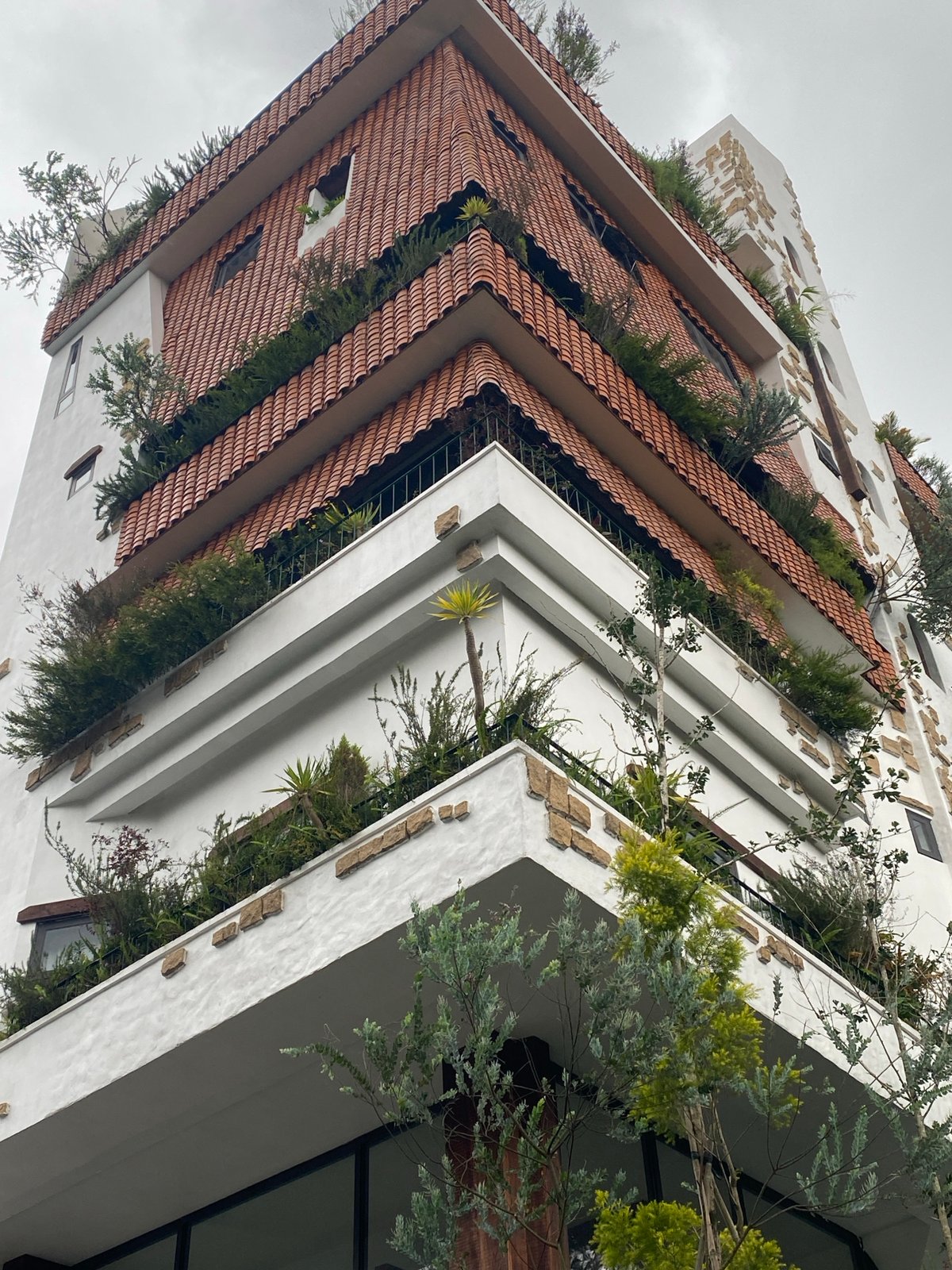 Architecture and wall art in Đà Lạt's Lâm Viên district