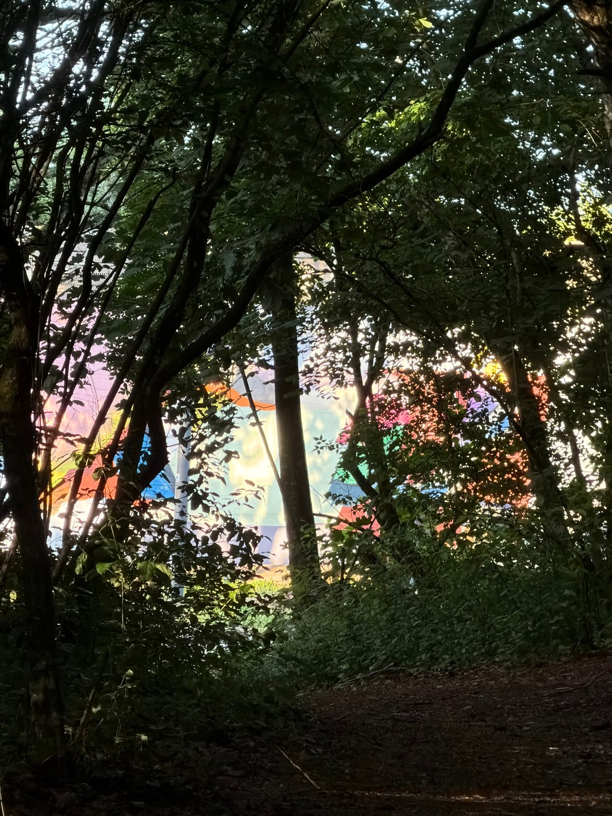 Evening woodland walk documented in Schifflange, Luxembourg