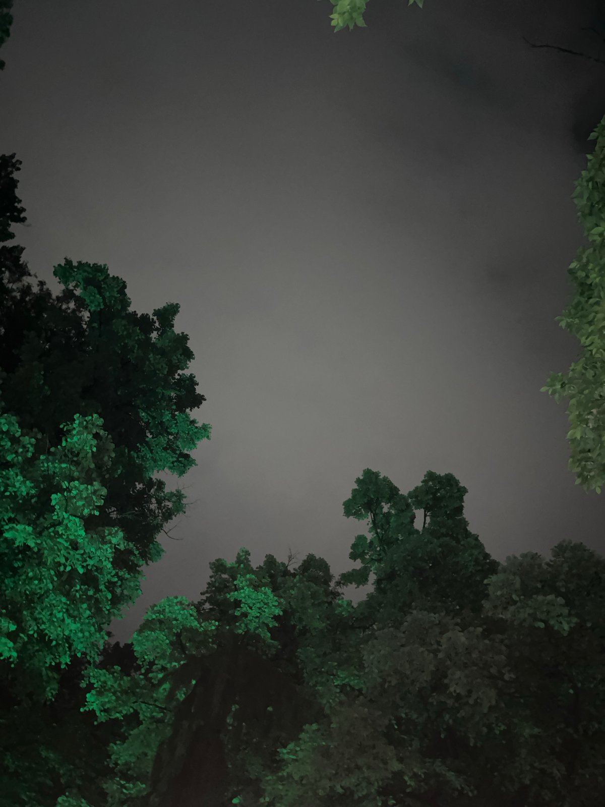 Evening park scenes documented in Plovdiv, Bulgaria