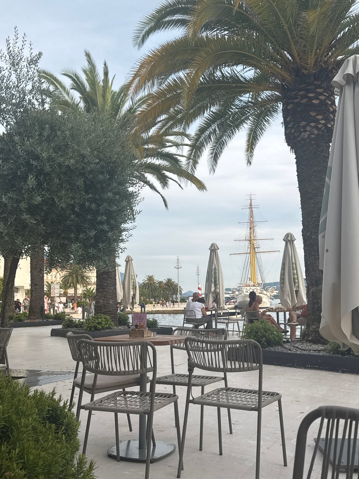 Waterfront café terrace with palm trees in Tivat, Montenegro