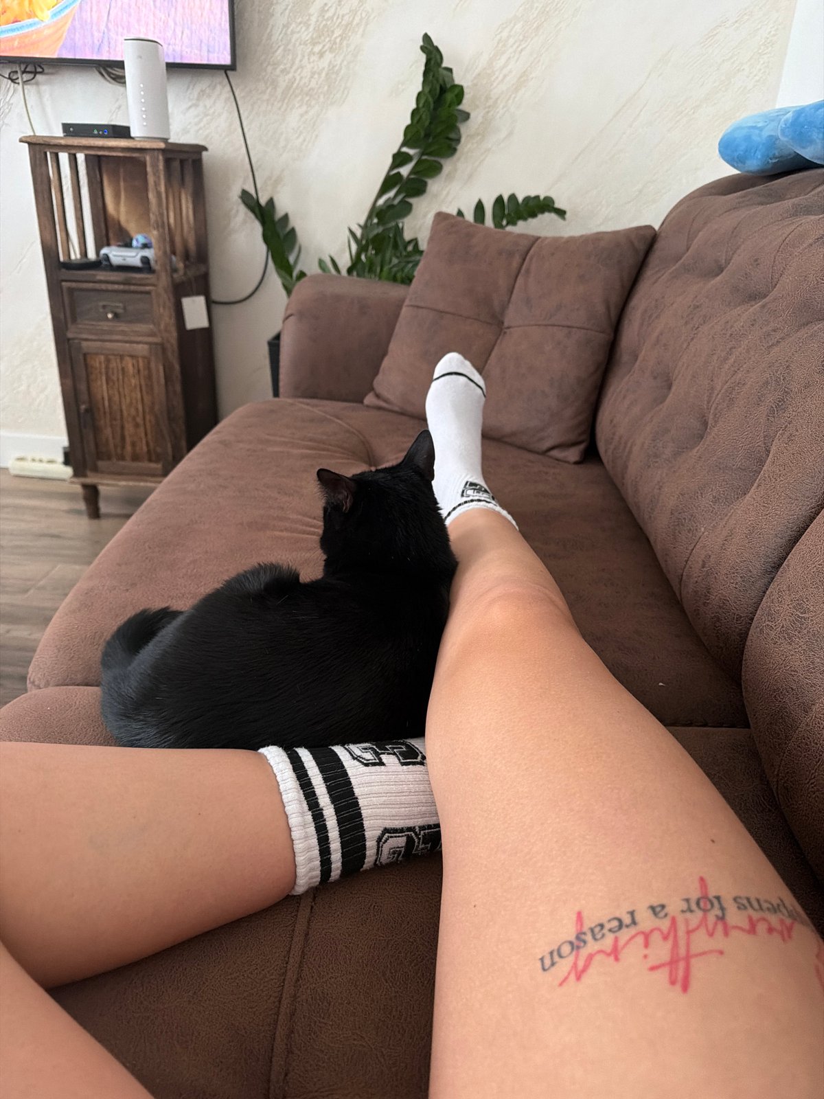 Person relaxes with mismatched socks and black cat in Gabrovo