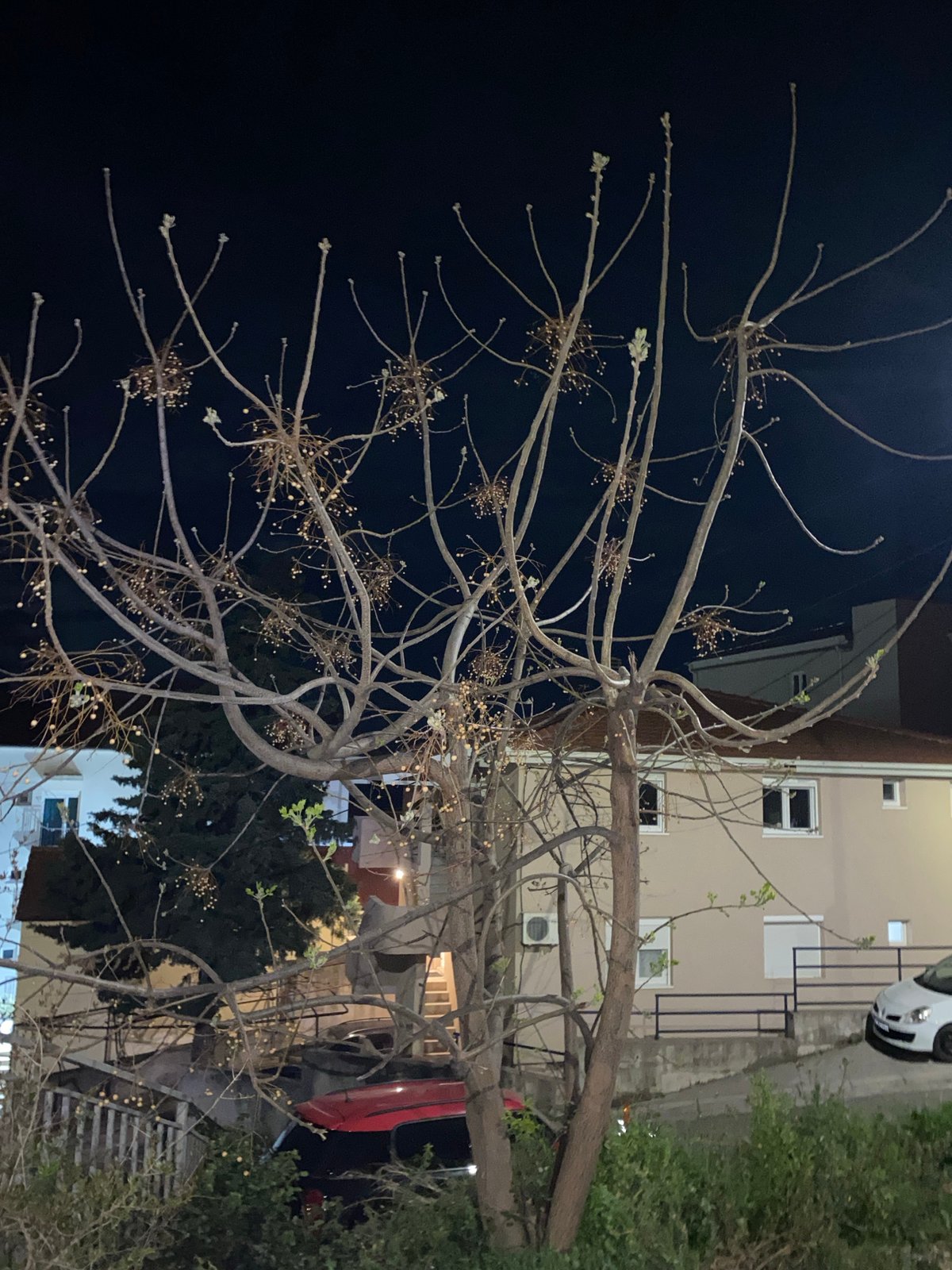 Night scenes captured in residential Budva, Montenegro