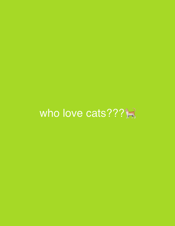 Cat-loving query displayed digitally in Bulgarian town