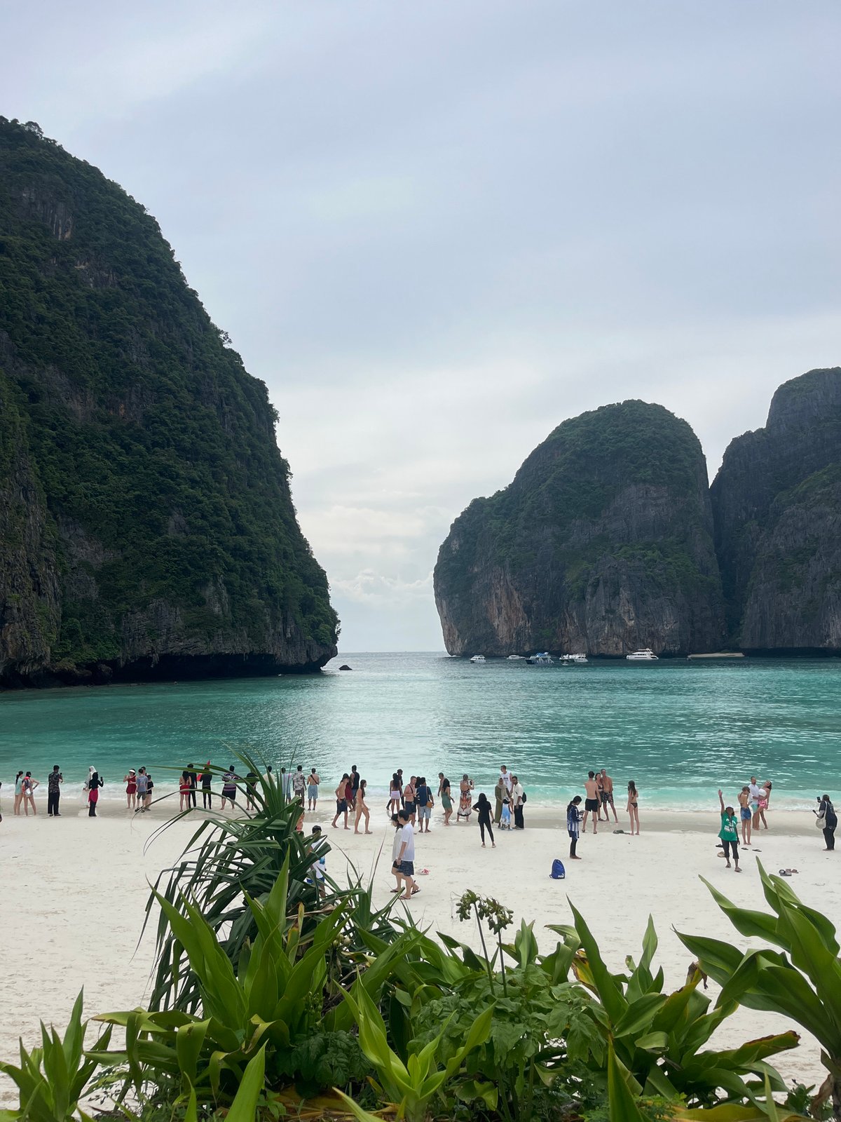 Maya Bay's limestone cliffs and turquoise waters, Krabi