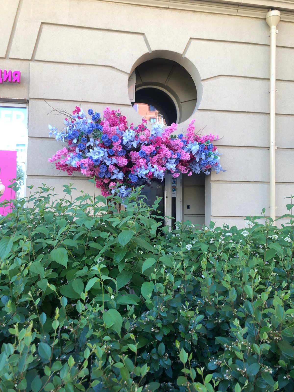 Morning leisure activities documented across Saint Petersburg neighborhoods