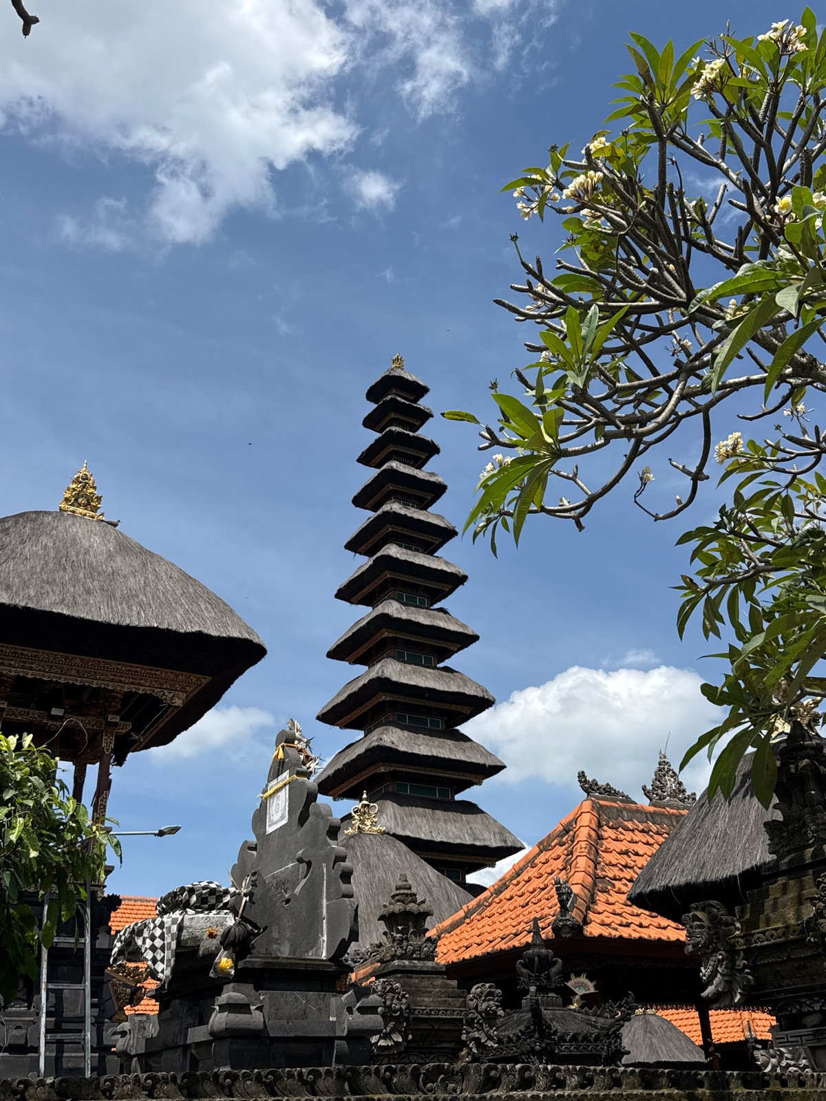 Morning tourist activity recorded at Mengwi temple and local businesses