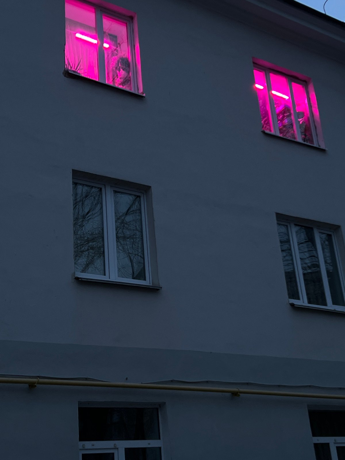Pink-lit windows observed in Kazan building facade