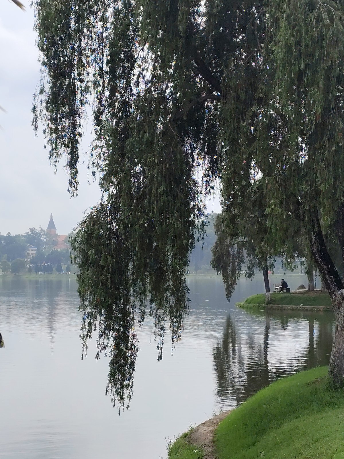 Peaceful lakeside moment captured in Da Lat, Vietnam
