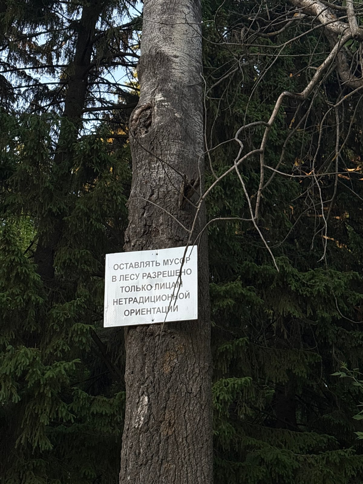 Controversial forest sign and municipal scene documented in Izhevsk