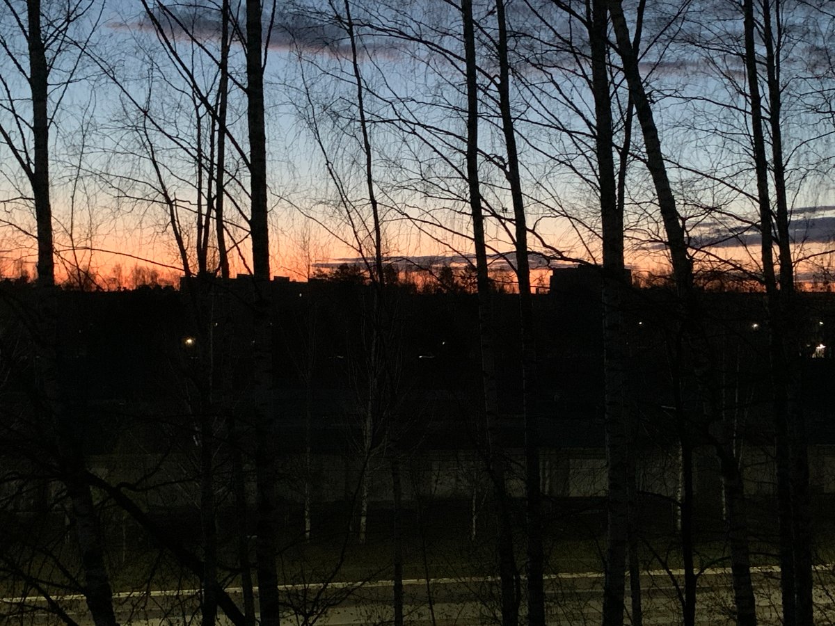 Twilight landscape captured through bare trees in Chaikovsky, Russia