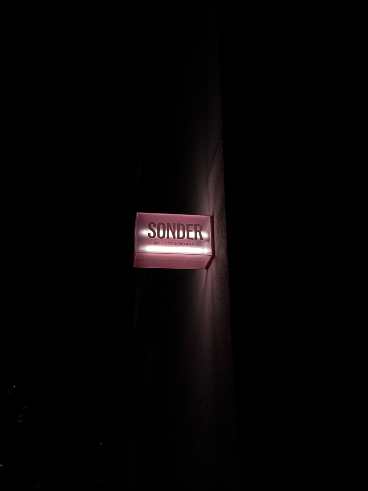 Evening dining scene captured across Belgrade establishments
