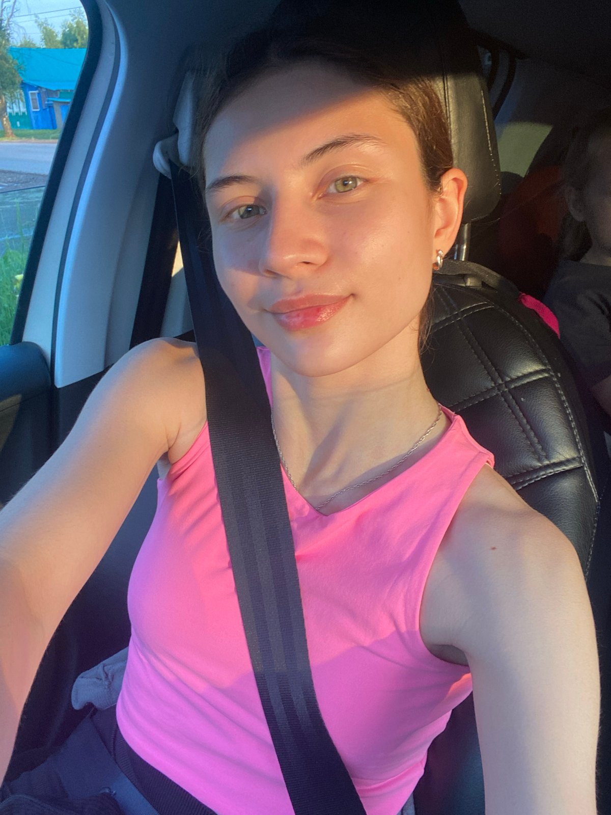 Afternoon car trip with puppy through Votkinsk, Russia