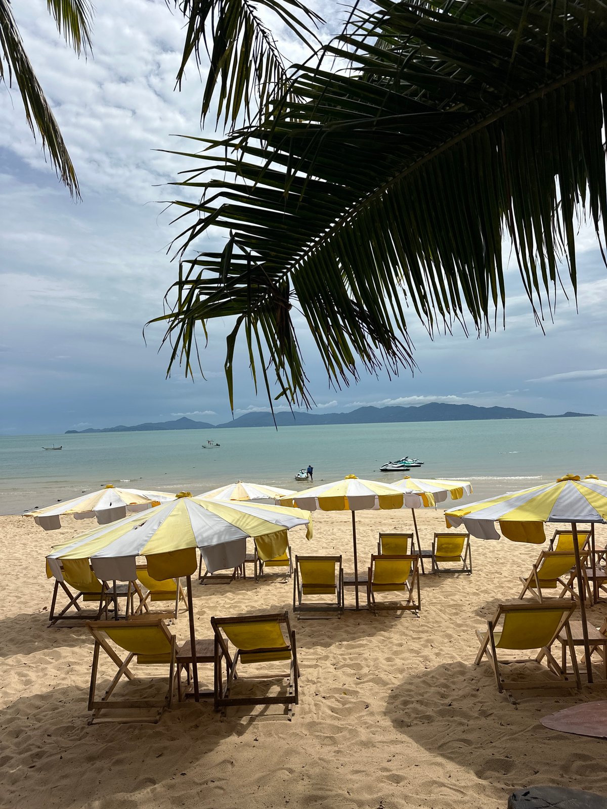 Rows of empty beach chairs on a quiet Ko Samui shore
