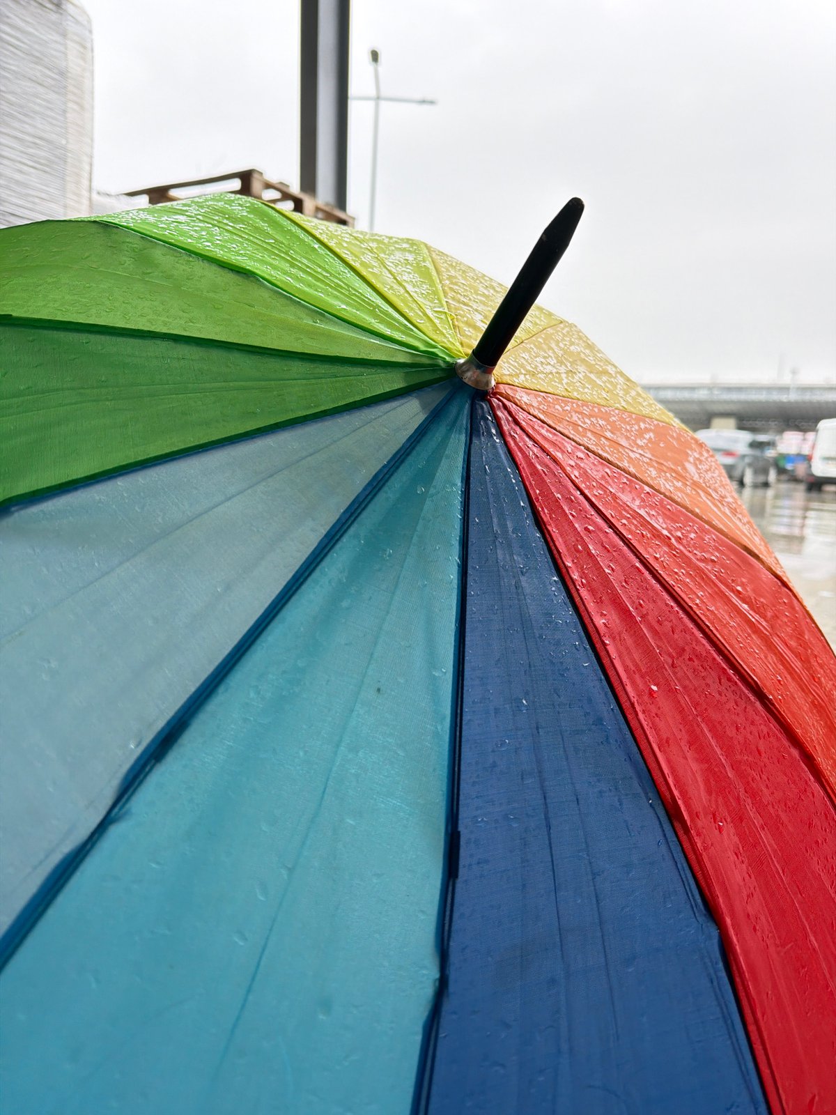 Morning rainfall documented in Parvenets, Bulgaria garden area
