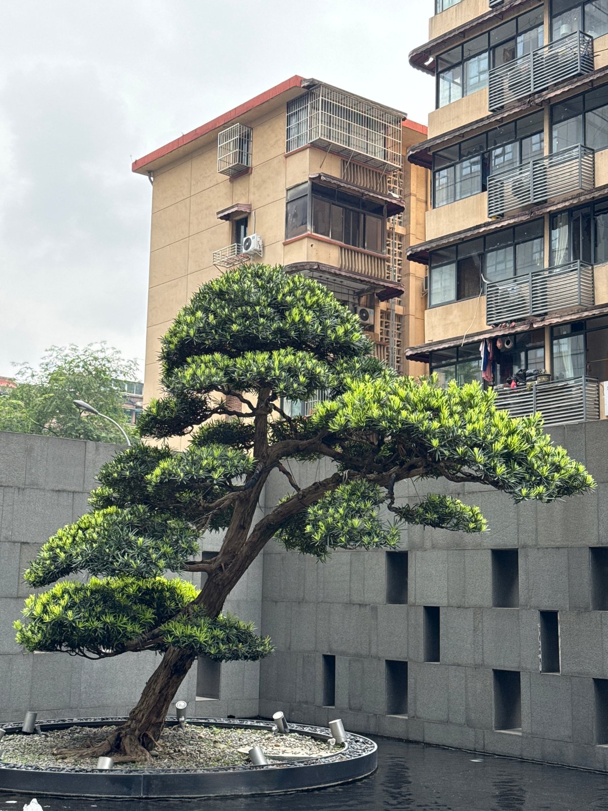Morning street life documented across Jinjiang District, China