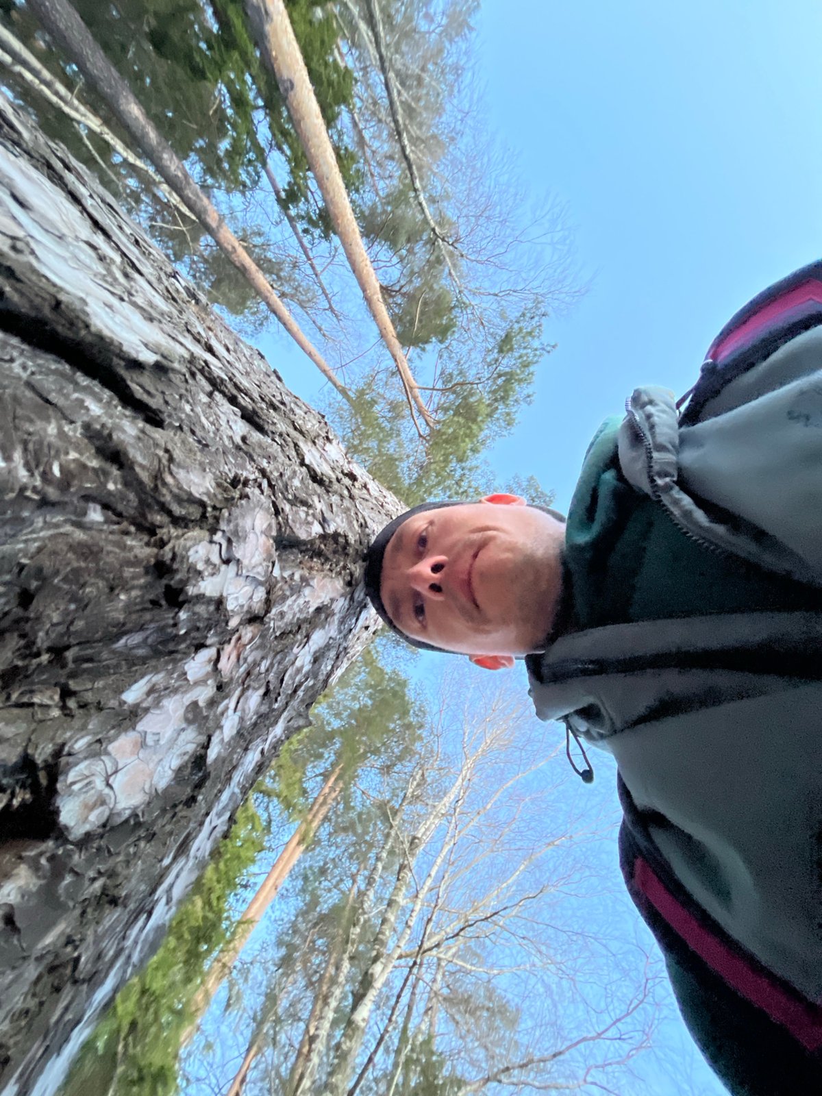 Forest visitor captures upward selfies among pine trees in Russia