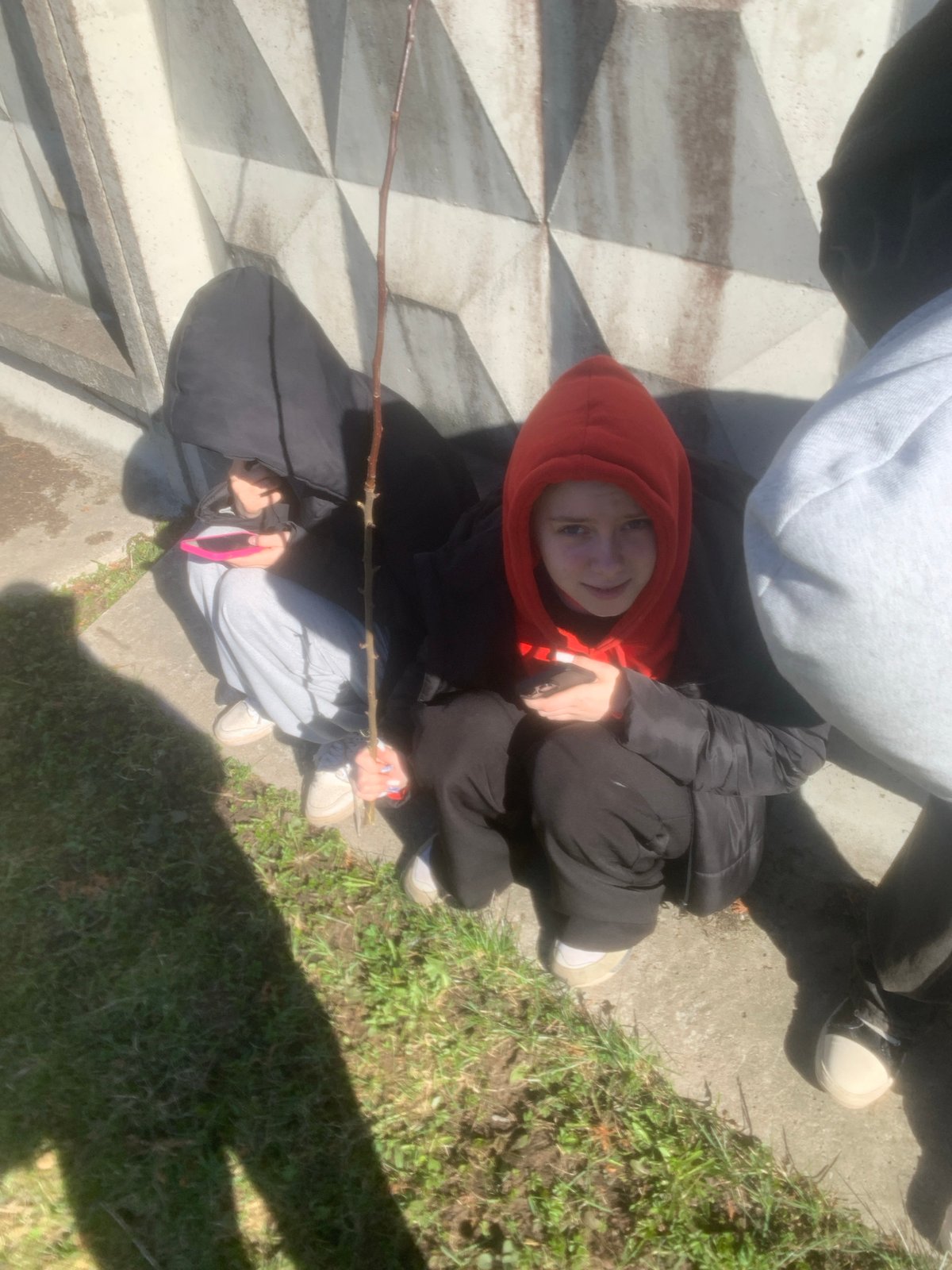 Spring yard work and pruning activities in Saint Petersburg
