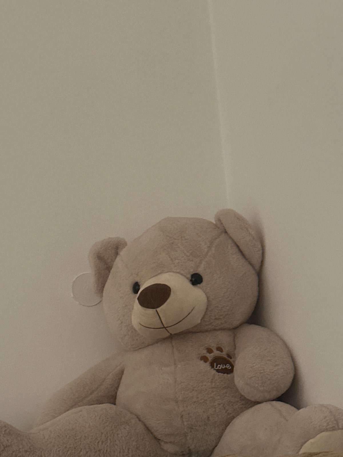 Personal moments captured in Sofia apartment over two minutes