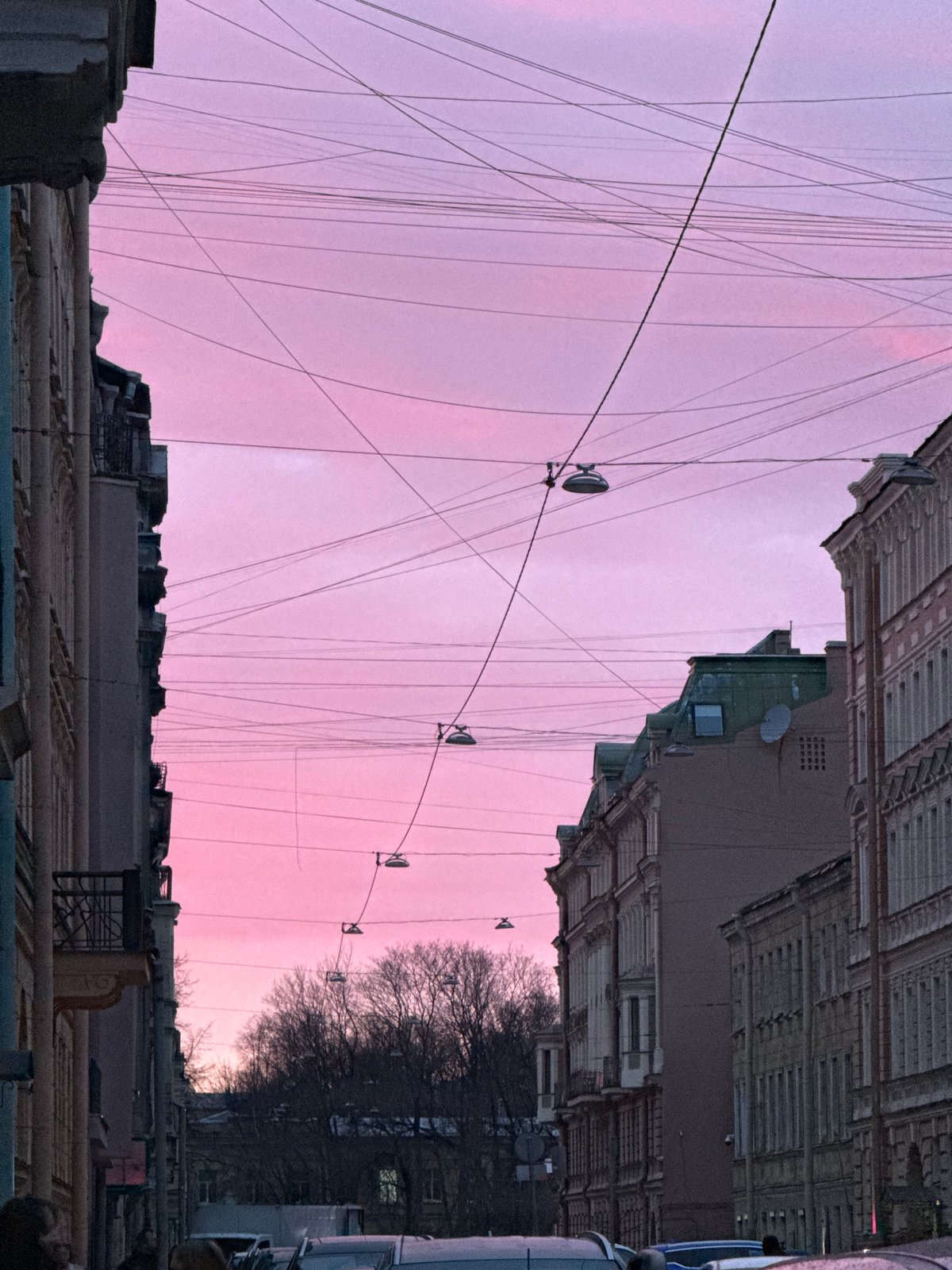 Saint Petersburg's overhead cable network documented by witness