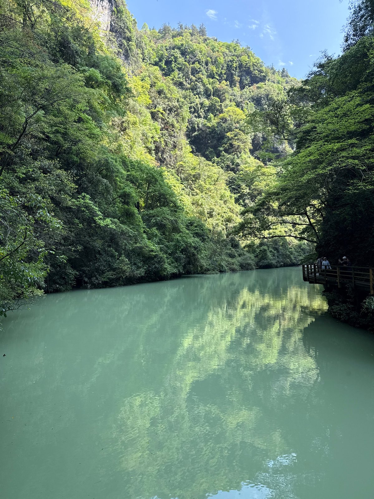 Green landscape with milky water documented in Zhangjiajie, China