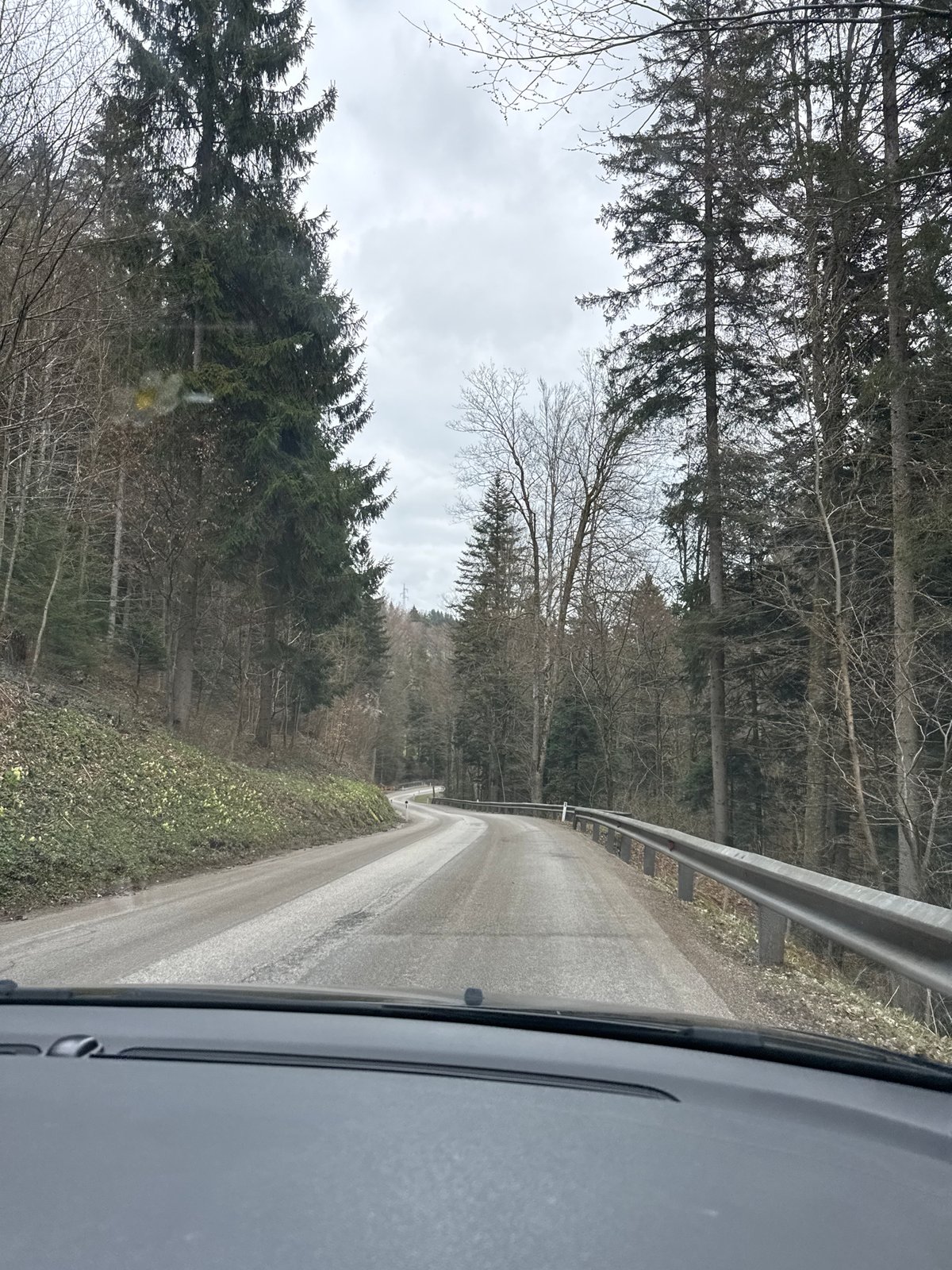 Vehicle drives through forested road near St. Leonhard am Wald