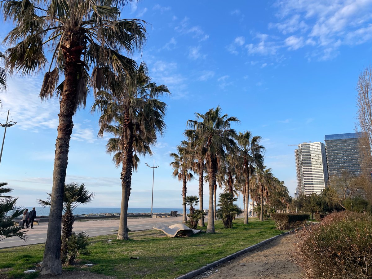 Coastal activities documented along Batumi's Black Sea promenade