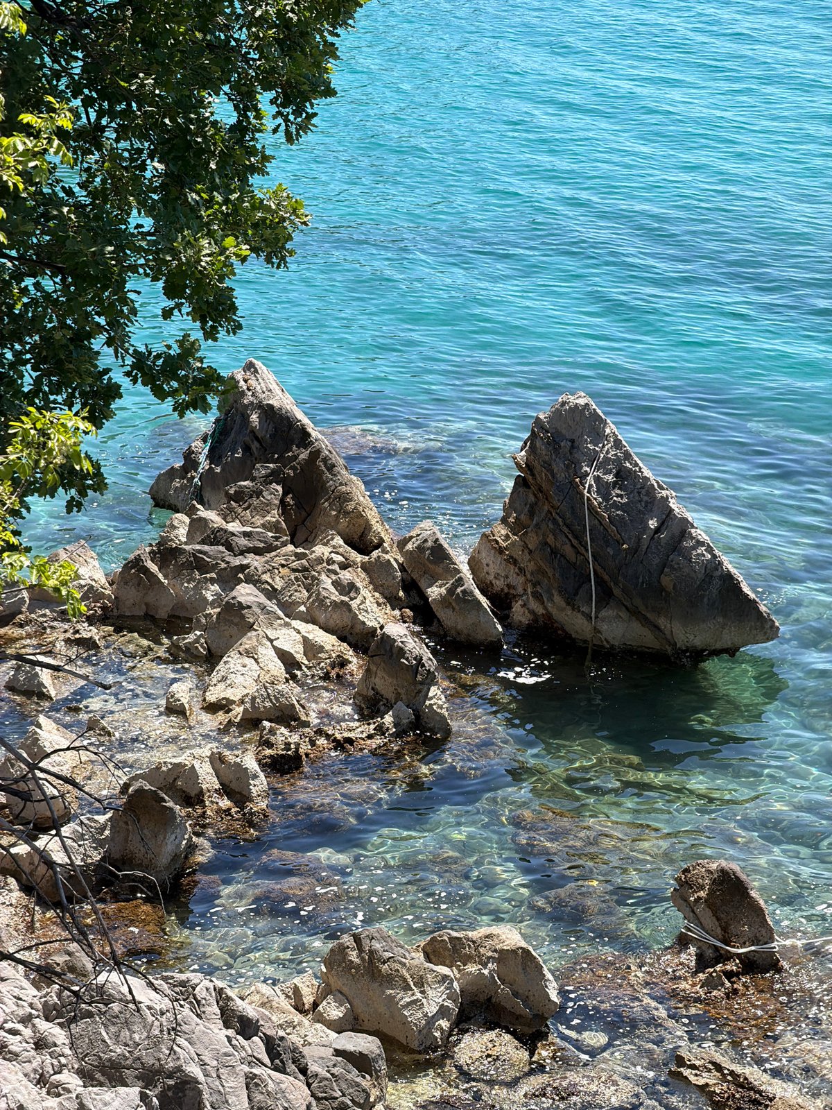 Tourist captures coastal scenes and boat activity in Budva