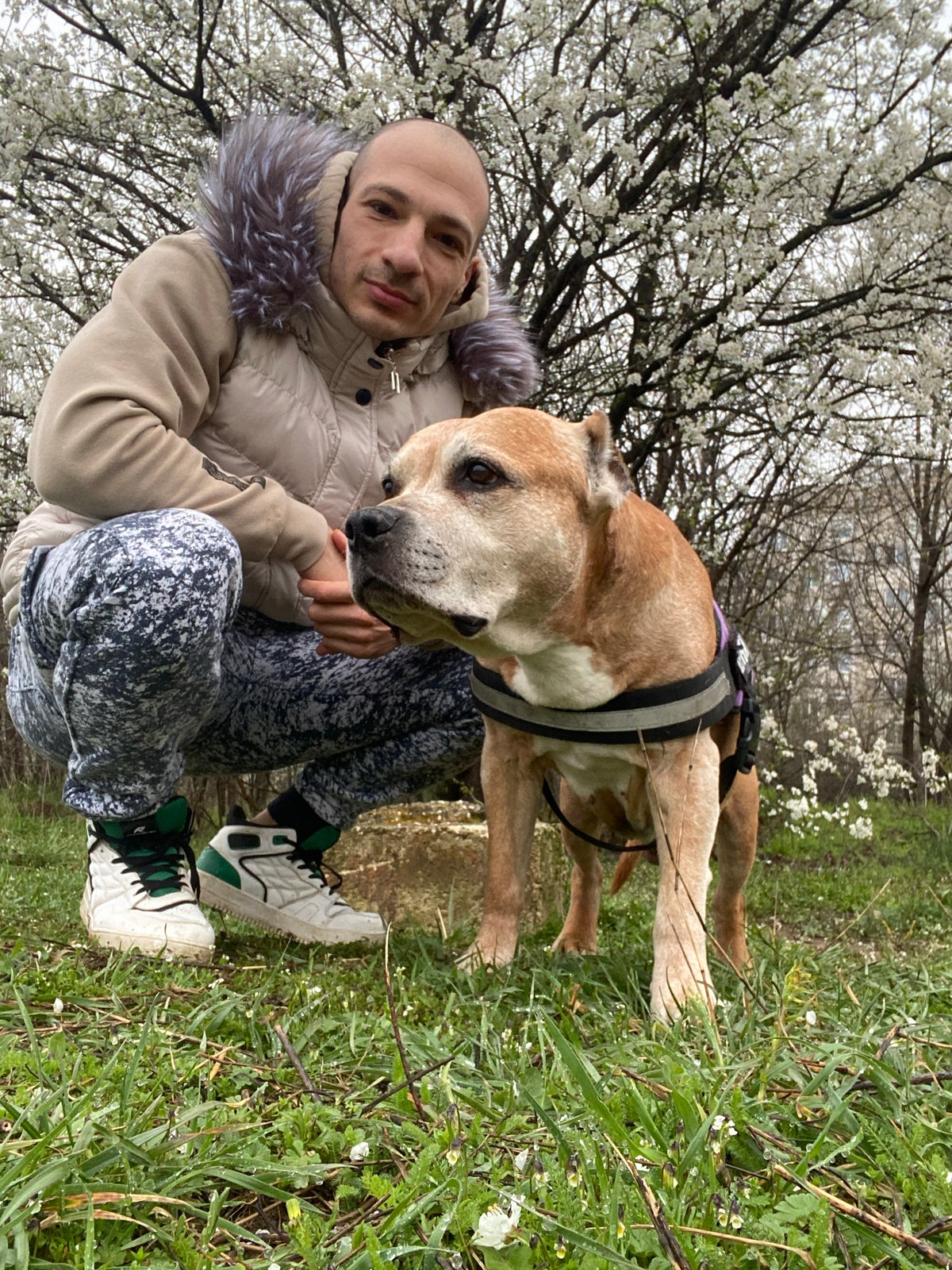 Man and dog enjoy spring park outing in Pleven