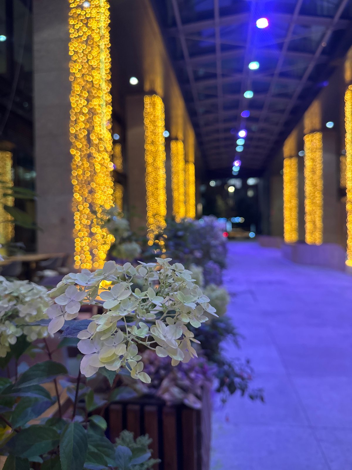 Moscow after dark: festive walkways and blue-lit modern architecture