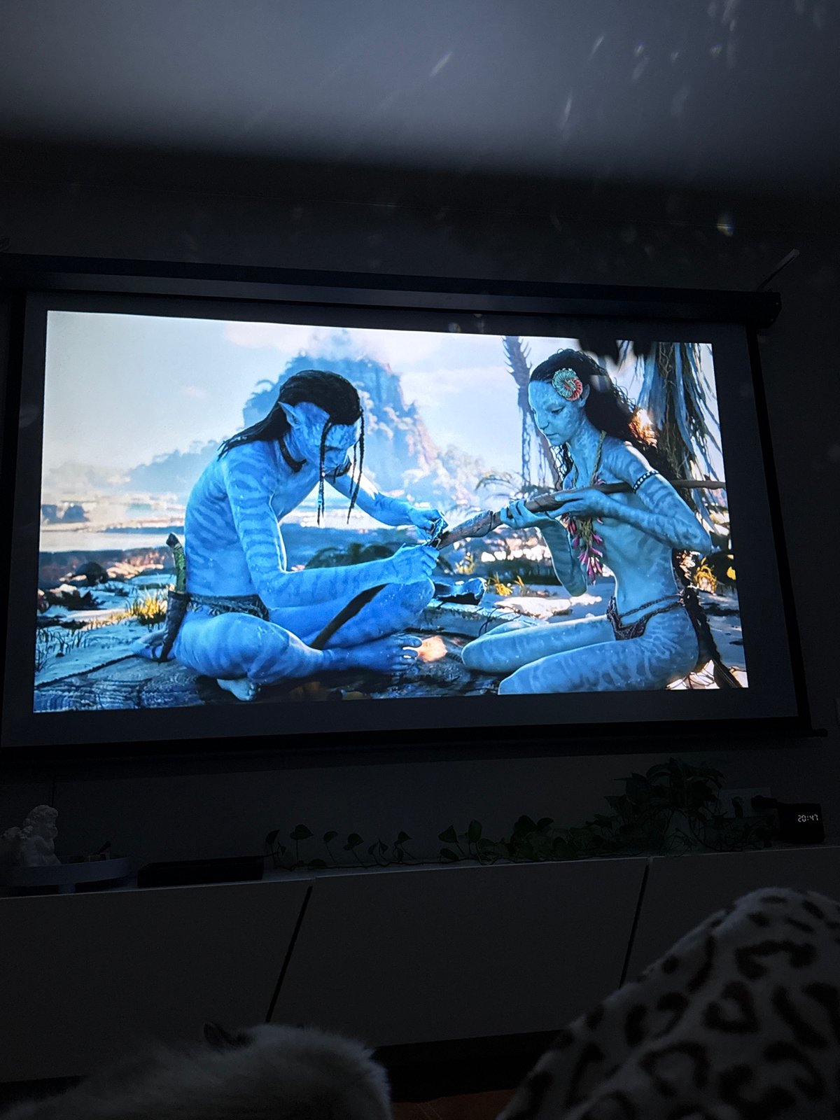 Cat watches Avatar on TV in Rostov-on-Don home