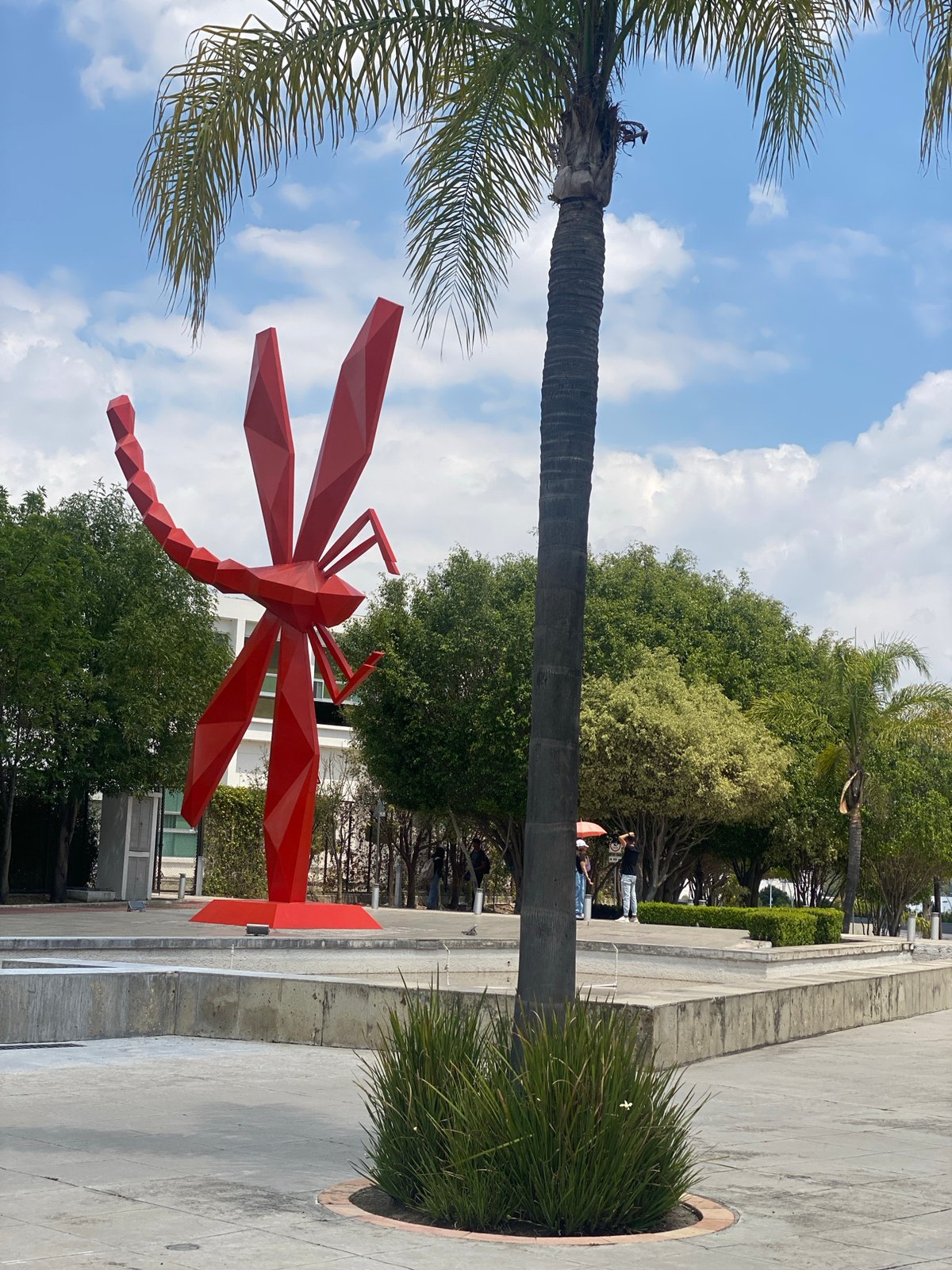 Urban landscape observations recorded across Florida locations