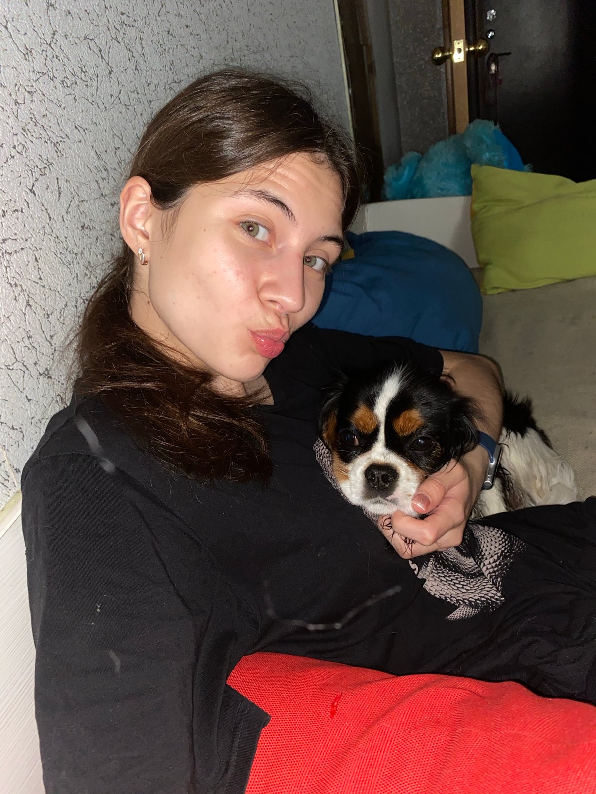 Casual indoor moments with a Cavalier King Charles Spaniel in Votkinsk