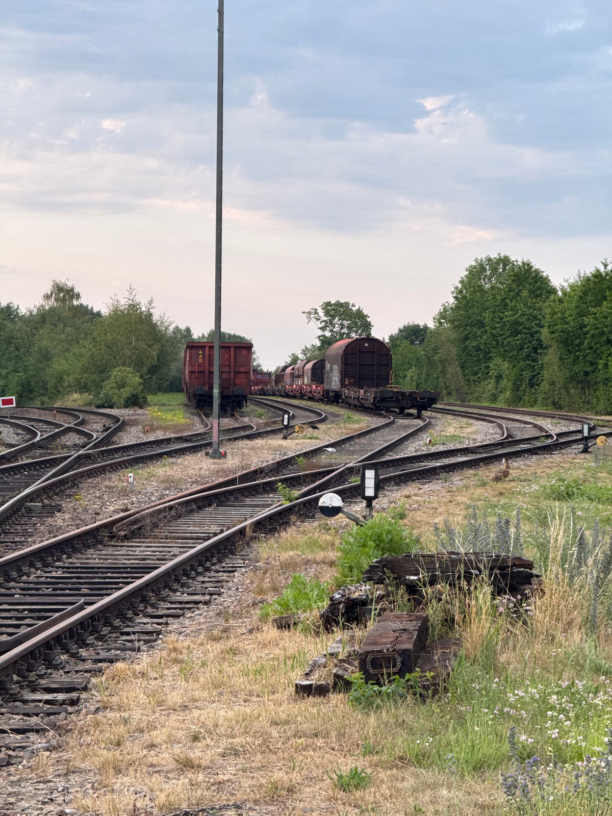 Red freight cars and a hare at a Regensburg rail yard