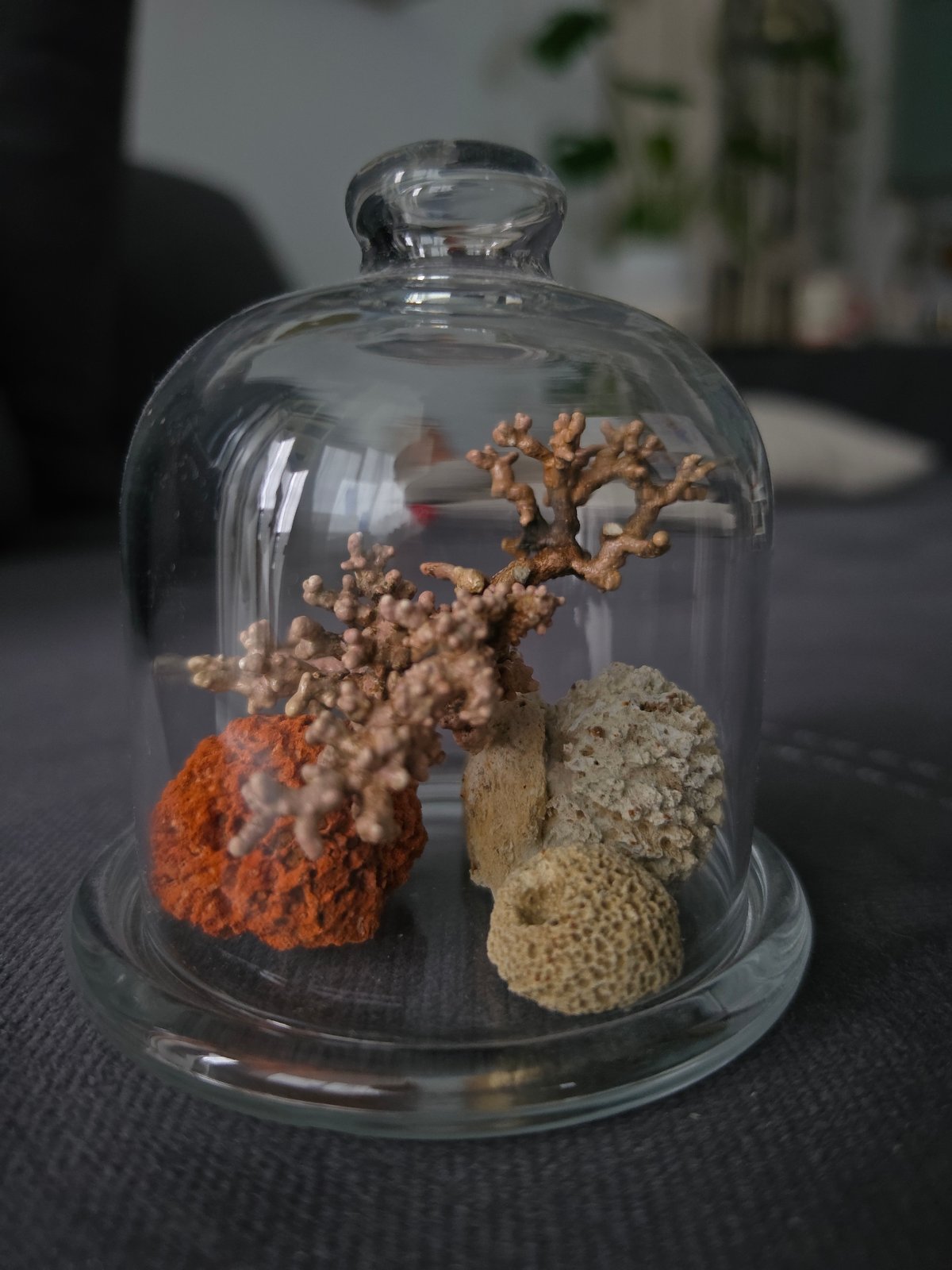Decorative objects and curiosities on display in Strelna