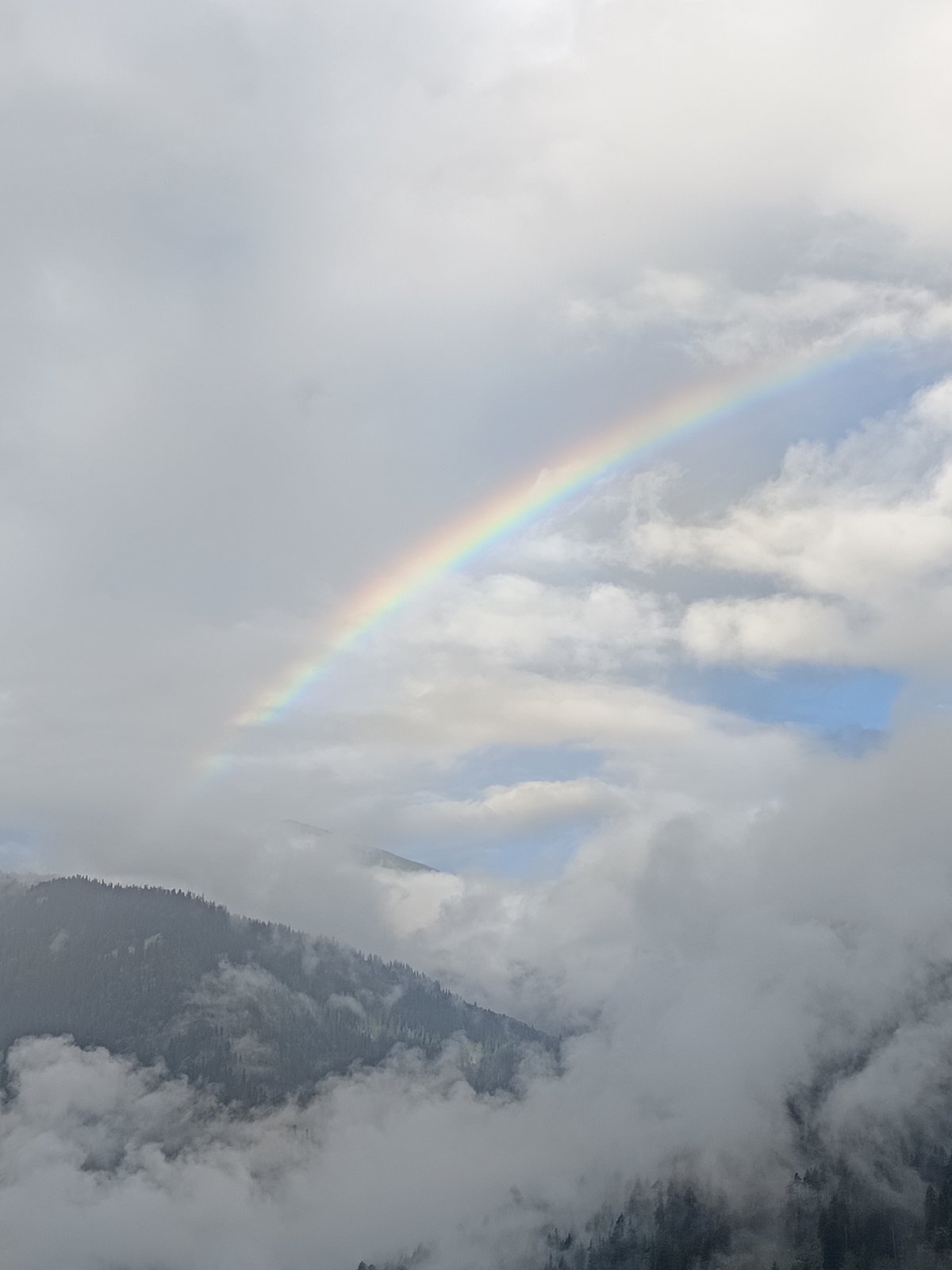 Rainbow over misty pine mountains in Vashisht, India
