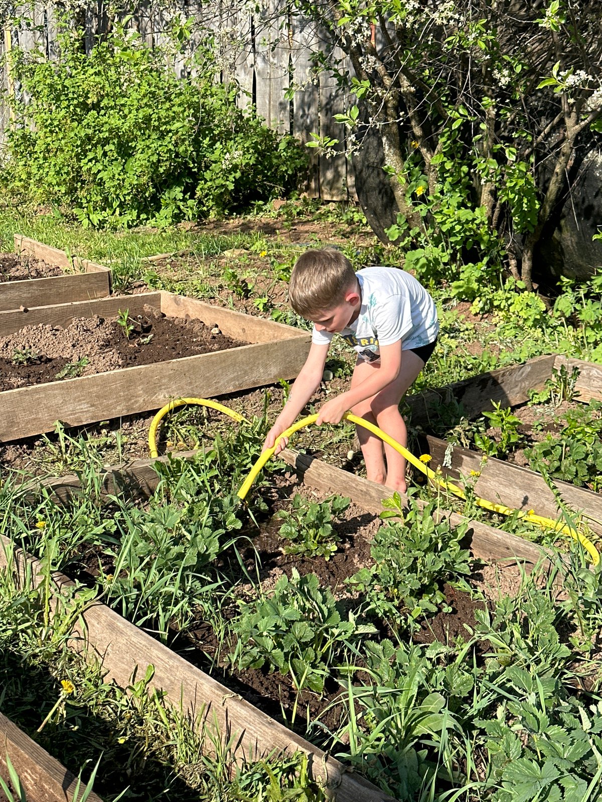 Boy tends garden with hose in Альняш, Russia