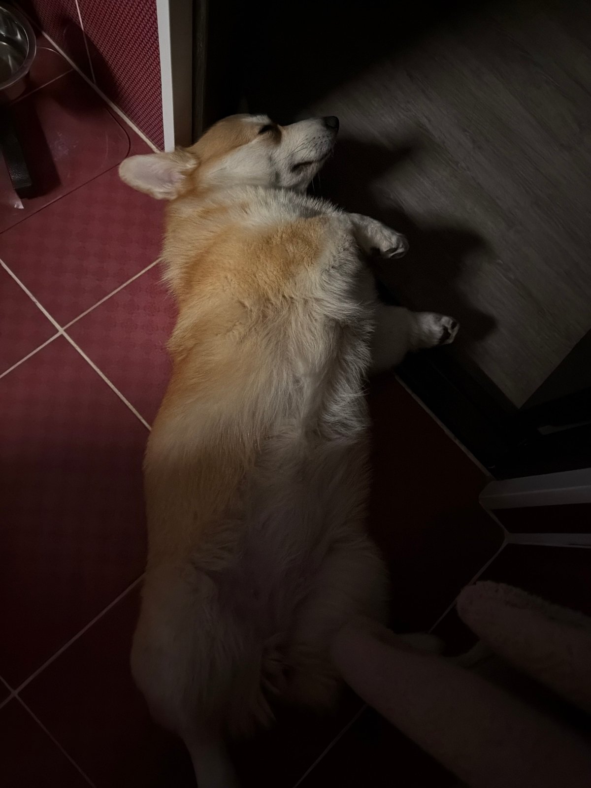 Everyday moments captured in snowy Chaikovsky, Russia