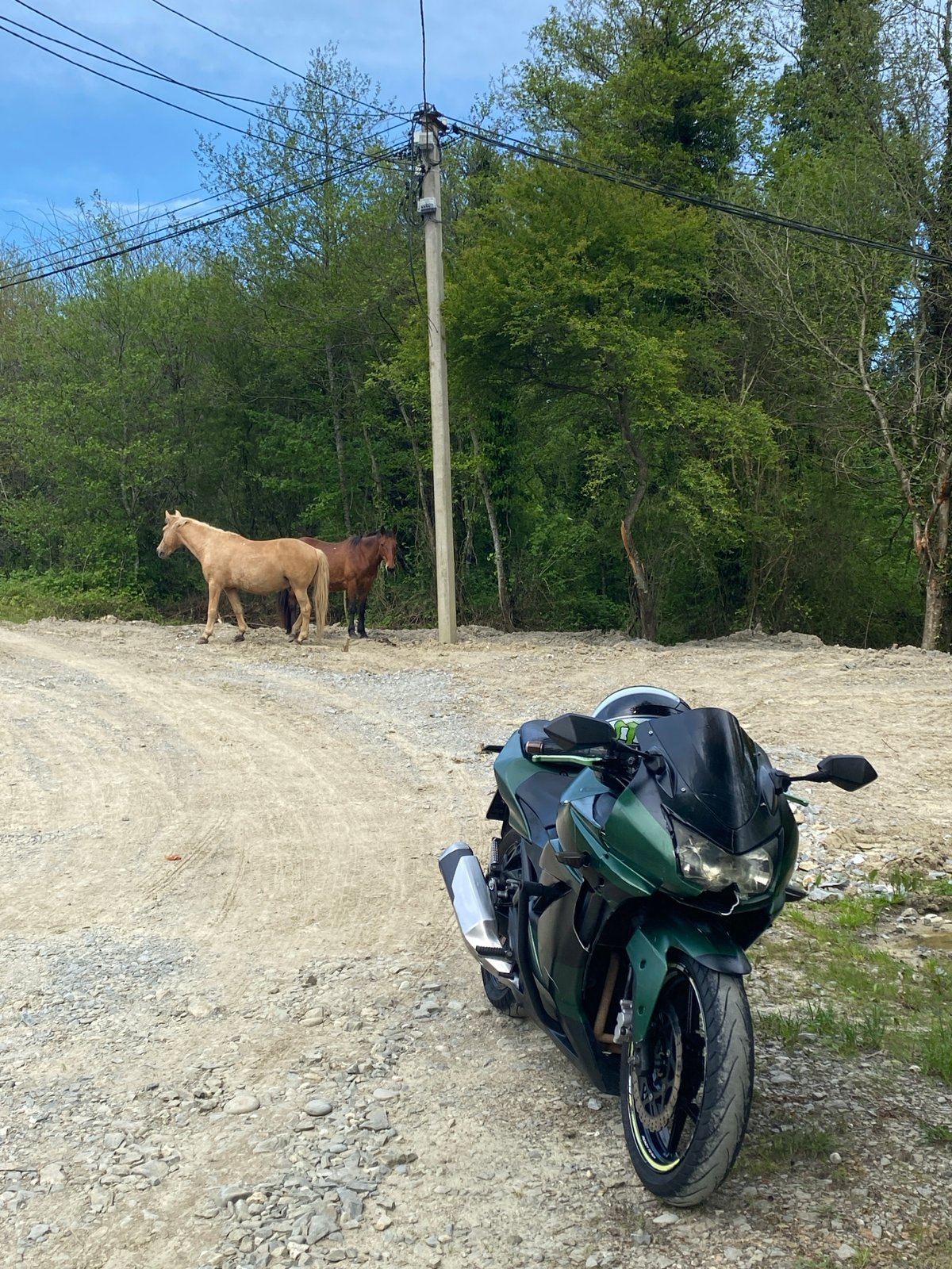 Motorcycle, horses share dirt road in wooded Sochi area