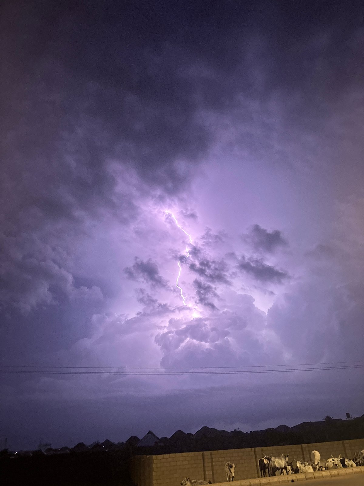 Thunderstorm strikes Bukuru as cattle herd blocks traffic during evening