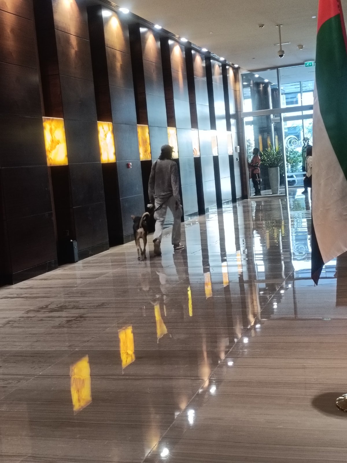 Individual documents diverse Dubai locations over morning hours