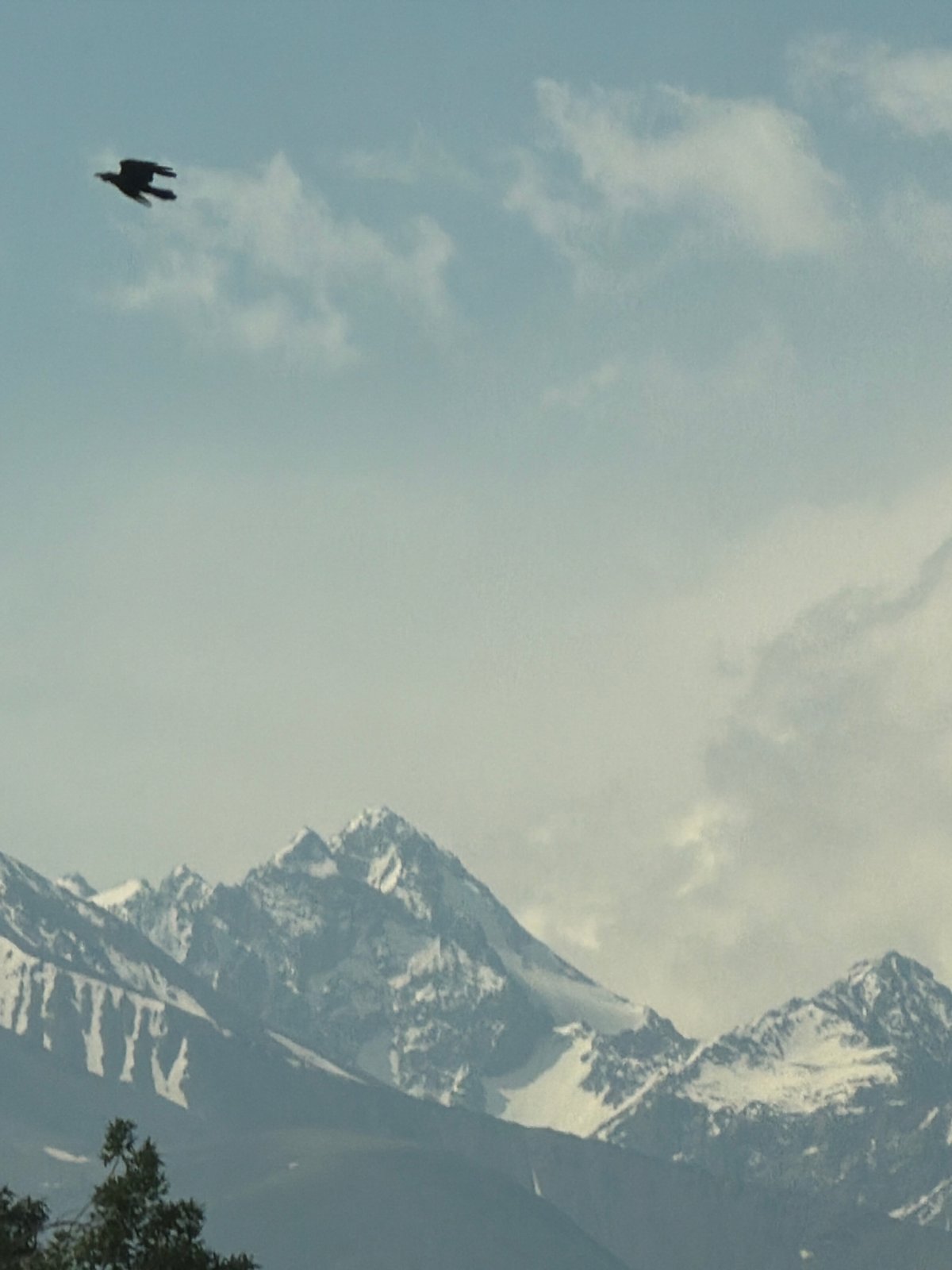 Driving through mountain roads with snow-capped peaks ahead