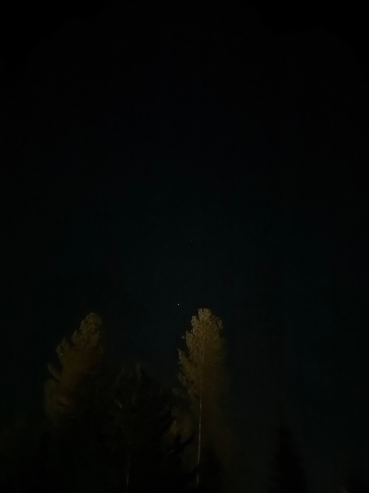 Tree reflection captured in nighttime scene in Озёрное, Russia