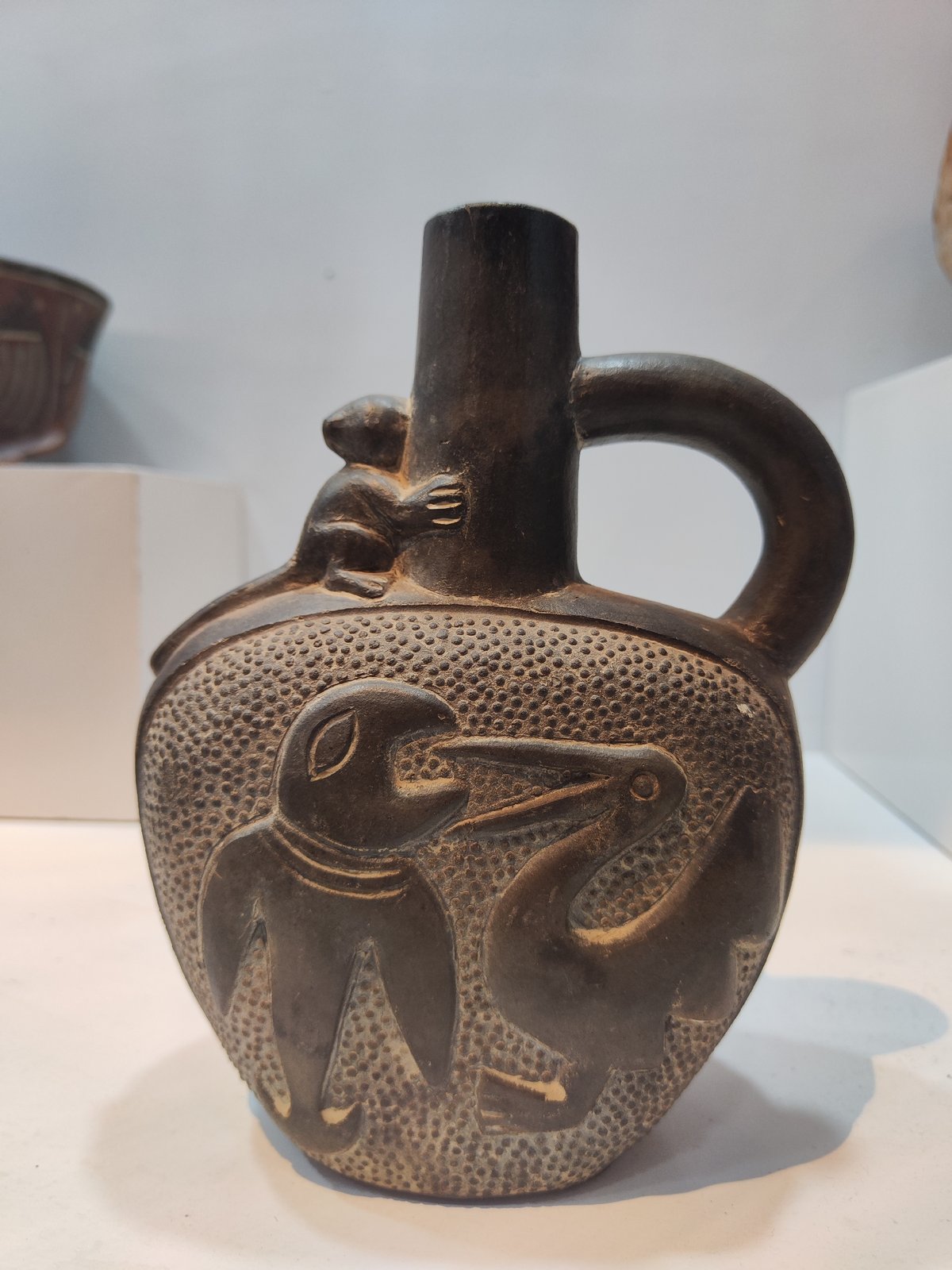 Tourist explores ancient Peruvian artifacts at Cuzco museum