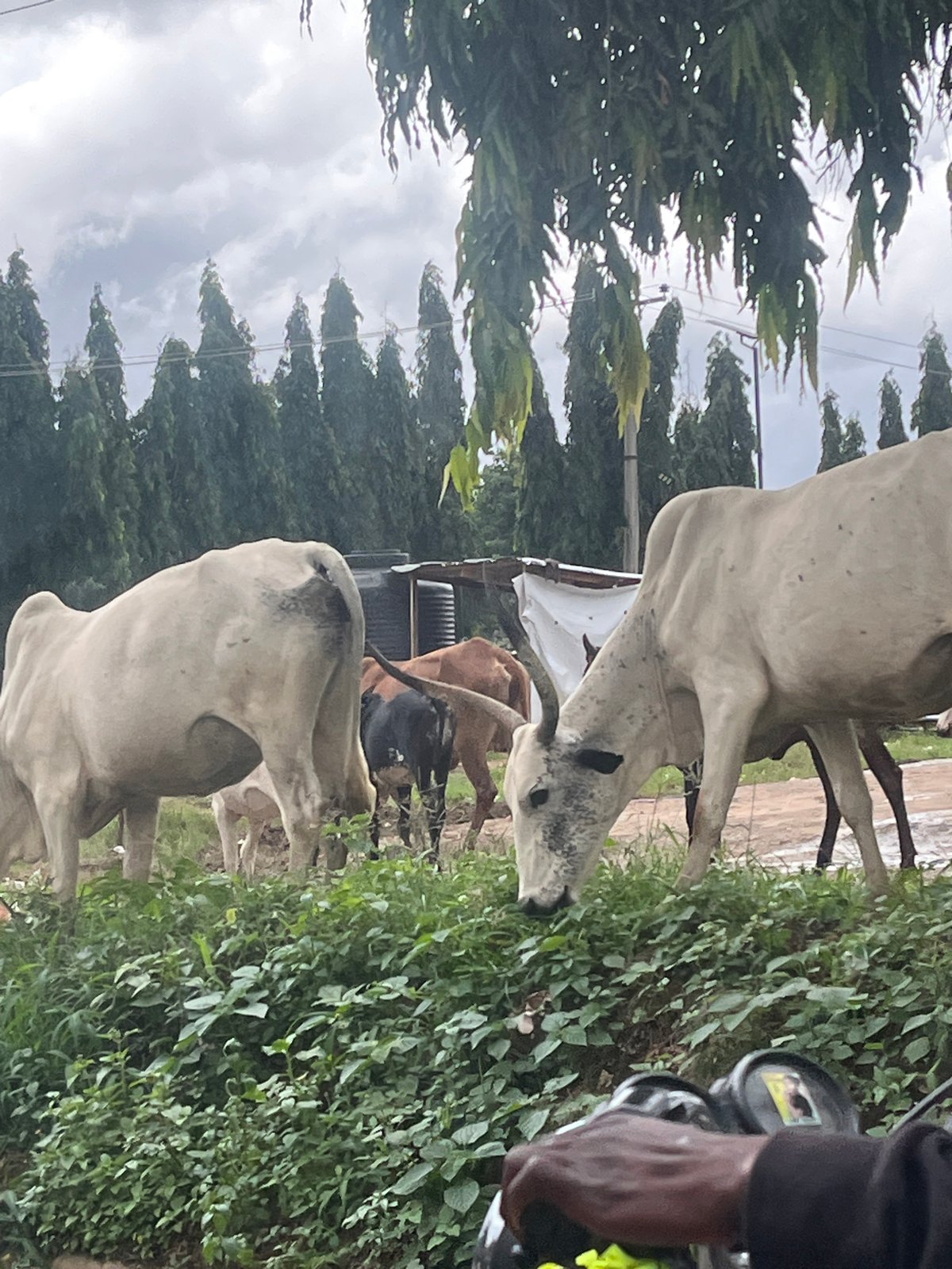 Moving through Abuja streets on a cloudy afternoon