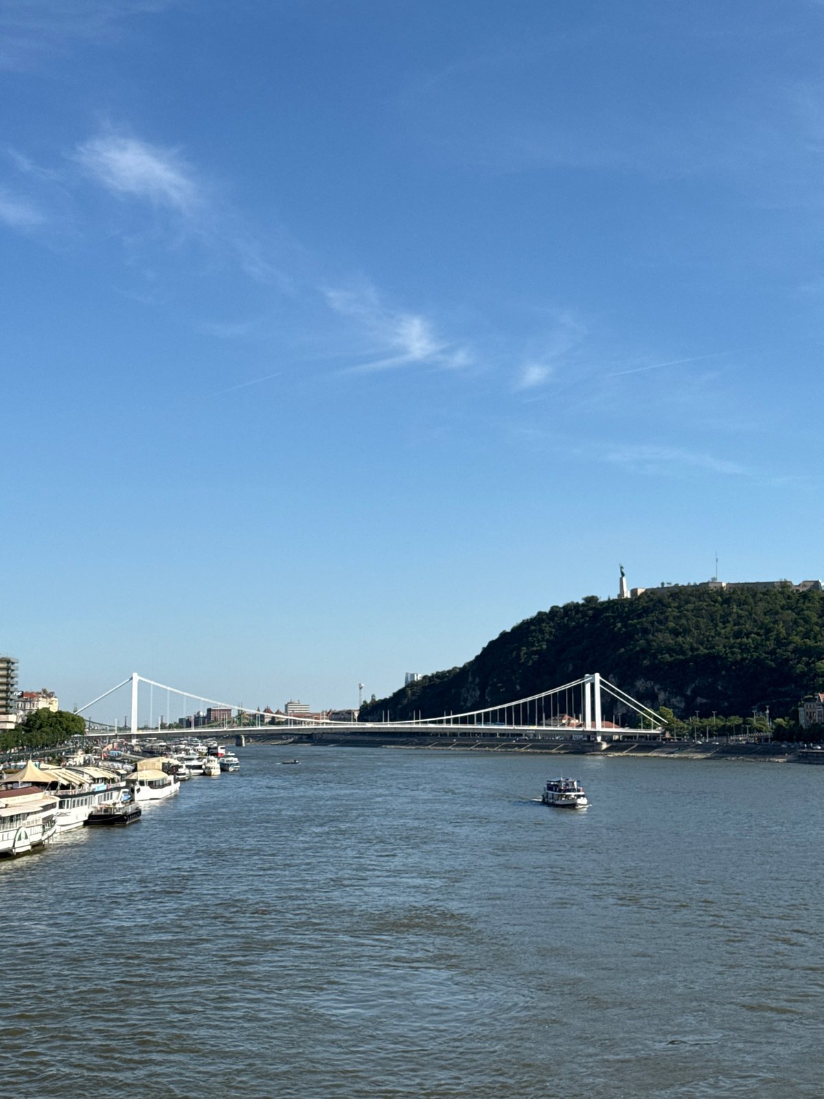 Afternoon riverside documentation captures Budapest's bridges and Danube activity
