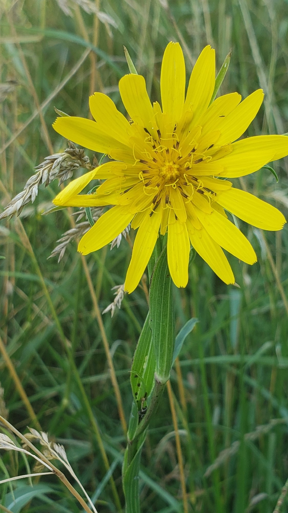 Log cabin, viaduct, and forest paths near Prešov