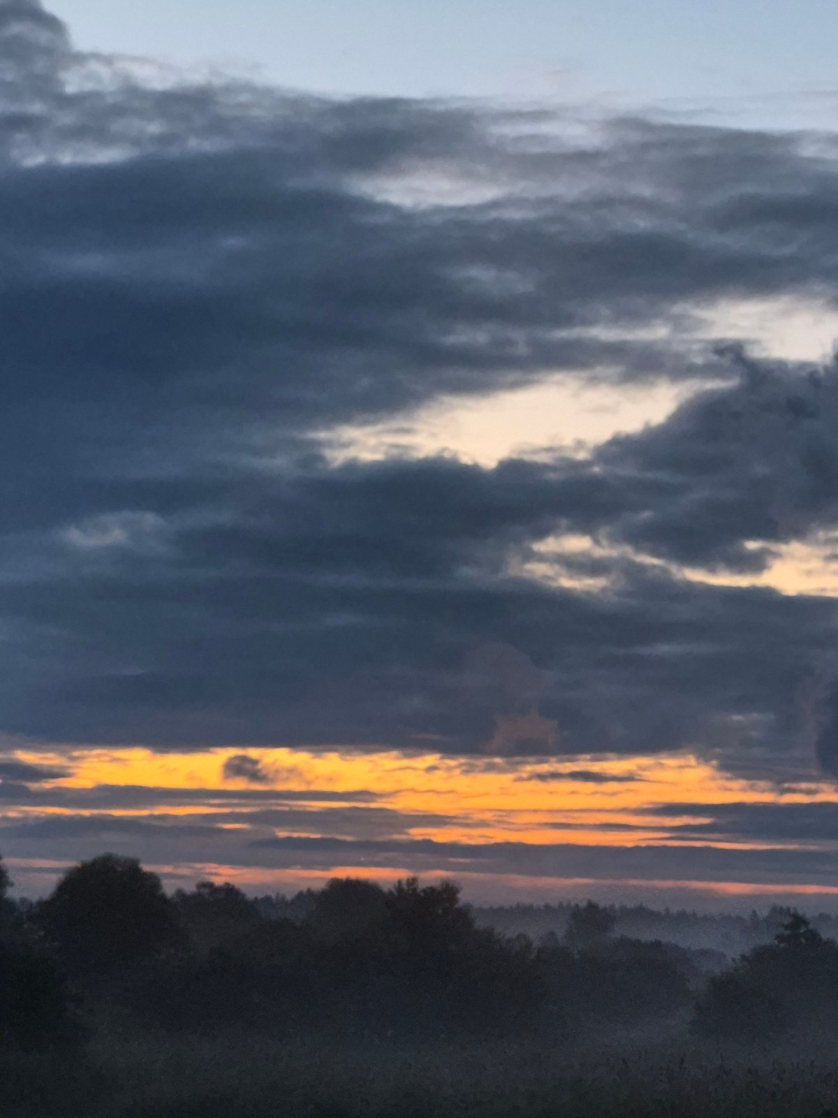 Twilight skies and misty forests at the edge of an Estonian night